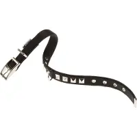 Ferplast Dual 20 Mm 43 Cm Hondenhalsband