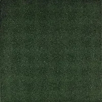 Gardenlux 2 stuks! (0.5m2) Rubbertegel groen 50x50x4.5 cm