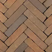 Gardenlux 60 stuks! (0.6m2) Art bricks bosch 5x20x6.5 cm