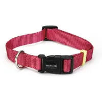Beeztees BZ NYLON KRAAG UNI ROZE 48-70 (Hond, Hondensport)