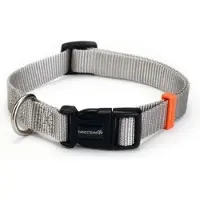Beeztees Hondenhalsband Uni Grijs 35-50 Cm X 20 Mm