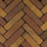 Gardenlux 60 stuks! (0.6m2) Art brick ruijsd gl/br 5x20x6.5 cm
