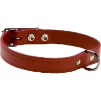 Adori Halsband leer met print 2x50 cm Rood
