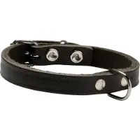 Adori Halsband Softleder Met Print