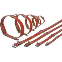 Beeztees - Halsband Hond - Leer - Rood - 35,5-41,5 cm x 18 mm