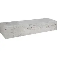 Gardenlux 3 stuks! Betonbiels grijs 12x20x60 cm