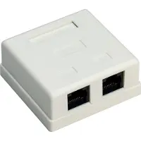 Goobay RJ45 wandcontactdoos | UTP (2x RJ45, Cat6, Horizontaal, Opbouw)