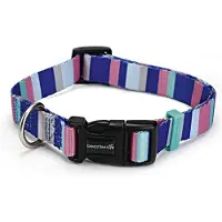 Beeztees Stripes - Halsband Hond - Multi - 48-70 cm
