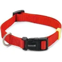 Beeztees Hondenhalsband Uni Rood 35-50 X 2 Cm