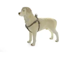 Envy Beeztees borsttuig hond Phantom - Bruin 60-100 cm