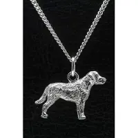 MOOYE ® - Collectie Zilveren Chesapeake bay retriever ketting hanger - groot