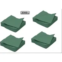 Themaparty 2000x Servet 33cm 2 laags groen - servetten diner cocktail 100% biologisch afbreekbaar festival thema feest restaurant party