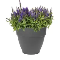 Elho Bloempot Vibia Campana Antraciet D 24,5 H 21 Cm