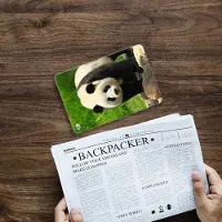 B2Ctelecom Apple iPad Mini 4 | Mini 5 (2019) Back Case Panda