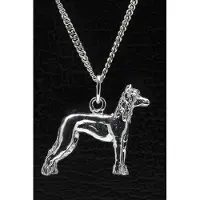 MOOYE ® - Collectie Zilveren Chinese naakthond ketting hanger - groot