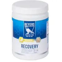 Beyers Recovery 600 Gr