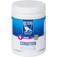 Beyers Condition 600 Gr