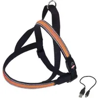 Nobby Noors harnas FLASH MESH (Hond, Hondensport)