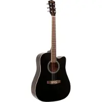 Fazley W40-BK akoestische western gitaar zwart