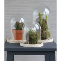 Packlinq Glazen koepel met houten basisvoet Ø 14 cm en 21 cm hoog (1 st)