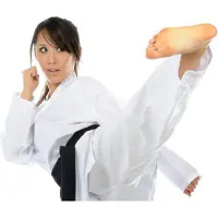 Nihon Karatepak Top