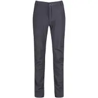 Regatta Fenton Broek Heren, grijs W44 | DE 60 (Short) 2022 Trekking- & Wandelbroeken