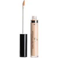John van g Long Stay Concealer 14