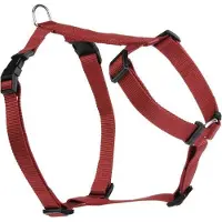 Beeztees Hondenriem Beeztees Wandel- en autogordel Rood-30 - 40 cm x 15 mm