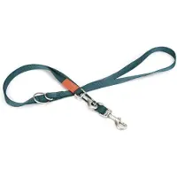 Beeztees BZ NY LEASH UNI DUNK GRUN (Hond, Hondensport)