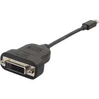 Dolphix Mini DisplayPort 1.1 naar DVI actieve adapter (1920 x 1200) / zwart - 0,15 meter