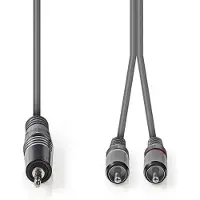 Ginza.se Stereo-Audiokabel | 3,5 mm Male naar 2x RCA Male | 3 m | 1 stuks - COTH22200GY30