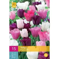 Jub holland - bloembollen - Tulpen Pastel Mix - maat 11/12 - 15 stuks