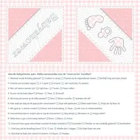 Haza servetten babyshower meisje quiz 20 stuks