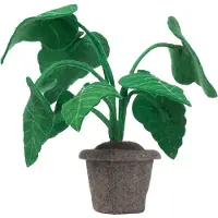 KidsDepot Decoratieplant Alocasia