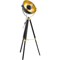 Eglo vloerlamp Covaleda