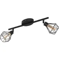 Eglo Zwarte Plafondlamp Zapata 1 2 Lichts