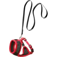 Flamingo kattentuigje Harms set - zwart/rood - 120cm x 15mm