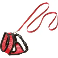 Flamingo kattentuigje Harms set - rood/zwart - 120cm x 15mm