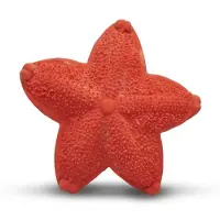 Lanco Toys Lanco sensory rubberen bijtspeeltje - Zeester - rood