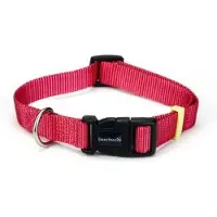 Beeztees Hondenhalsband Uni Roze 35-50 Cm X 20 Mm