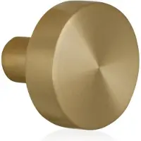 GPF bouwbeslag PVD mat messing Vlakke knop 52x16mm tbv VH-schilden vast incl. wisselstift