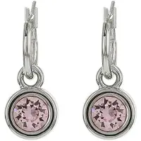 Biba Hang Oorbellen met Swarovski Steentje Rosaline