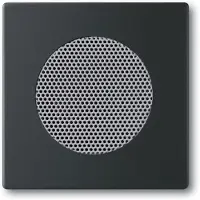 Busch-Jaeger 2CKA008200A0126 Afdekking Diepzwart (RAL 9005), Zwart 1 stuk(s)