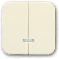 Busch-Jaeger SI Schakelelement/Centrale Plaat - 2CKA006599A2888