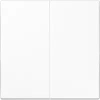 JUNG Intelligent Bedieningselement Van - LS1702WW