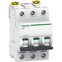Schneider Electric stroomonderbreker - A9F89306