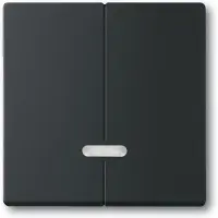Busch-Jaeger Schakelelement/Centrale Plaat - 2CKA006599A2969