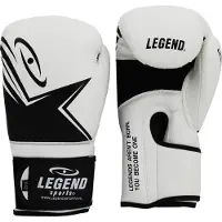 Legend Sports EcoFIT Bokshandschoenen Heren/Dames Wit PU