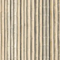 Praxis Vliesbehang bamboe beige G67940