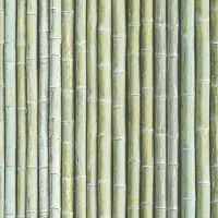Praxis Vliesbehang bamboe groen G67941
